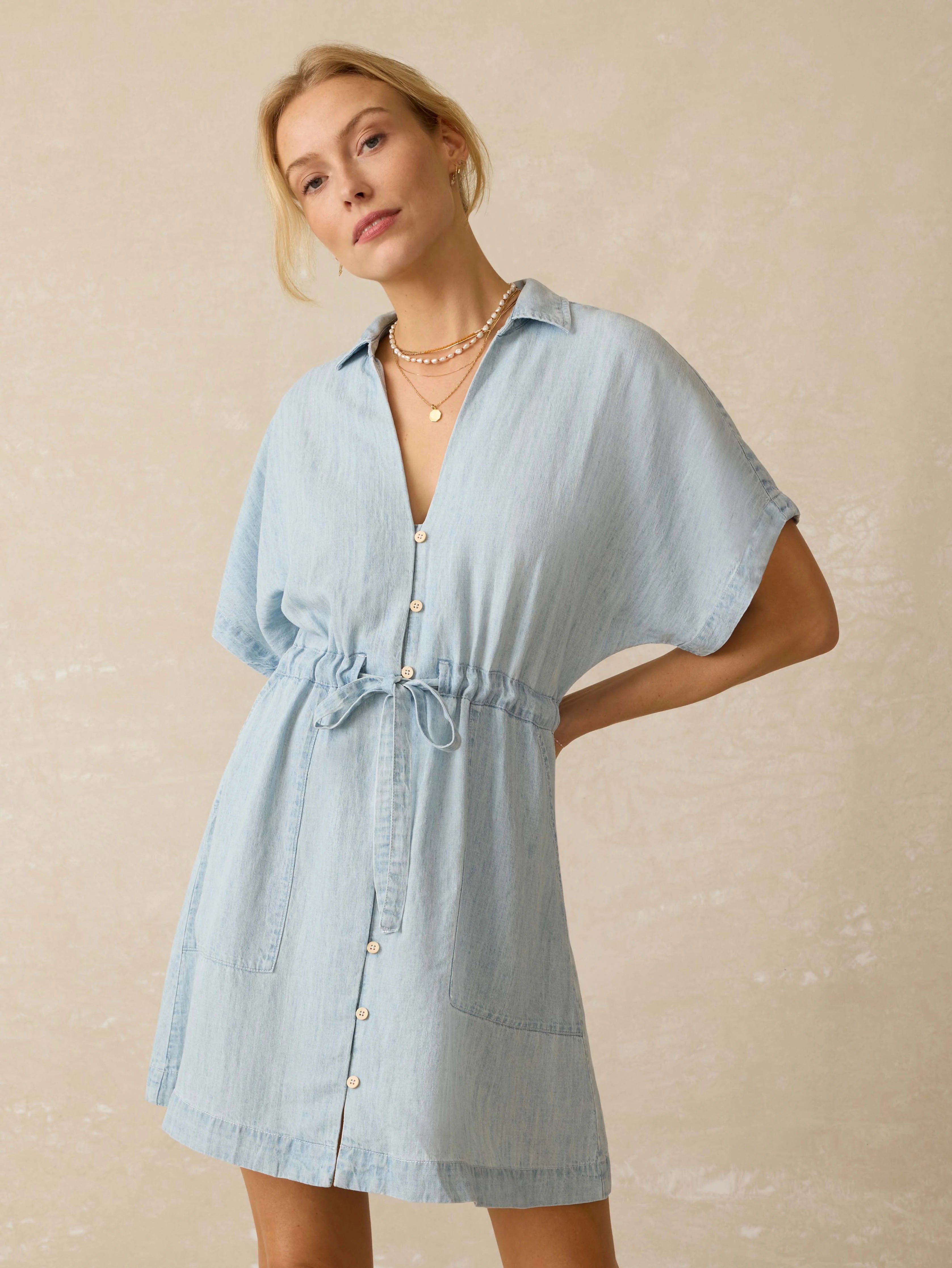 Tried \u0026 True Chambray Oakley Dress - Arctic Sea Wash Main image
